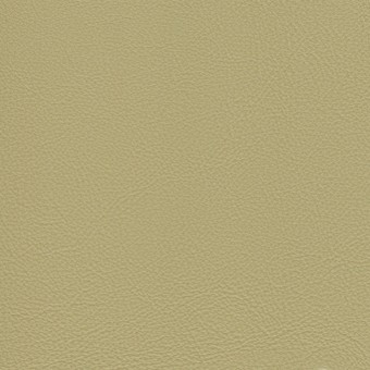 FABRIC Due : Due / Pistachio FABRIC Due : Due / Pistachio