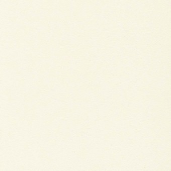 Lacquered Steel : Cream / 621