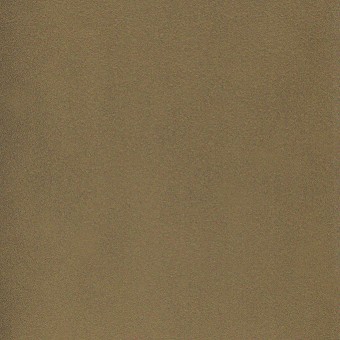 Lacquered Steel : Brass / 690