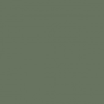 Lacquer : Sage / 308