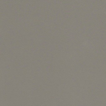 Lacquered glass : Fog lacquered glass / 352