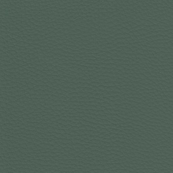 FABRIC Delta : FABRIC Delta :