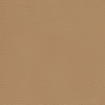 FABRIC Due : Due / Latte FABRIC Due : Due / Latte