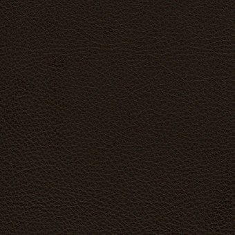 FABRIC Due : Due / Chocolate FABRIC Due : Due / Chocolate