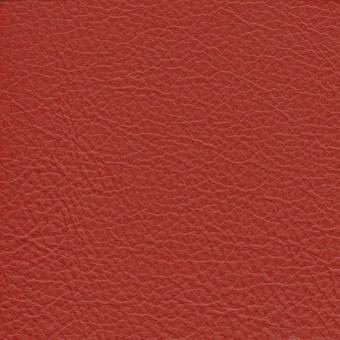 FABRIC Due : Due / Lipstick FABRIC Due : Due / Lipstick