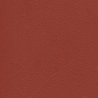 FABRIC Due : Due / Strawberry FABRIC Due : Due / Strawberry