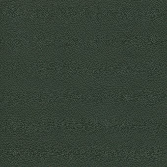 FABRIC Due : Due / Moss FABRIC Due : Due / Moss