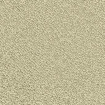 FABRIC Uno : Uno / Boston White FABRIC Uno : Uno / Boston White