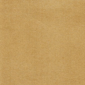 FABRIC Velvety : Velvety FABRIC Velvety : Velvety
