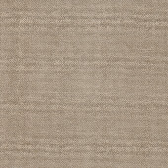 FABRIC Velvety : Velvety FABRIC Velvety : Velvety