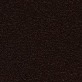 FABRIC Leather Uno : Uno / Espresso