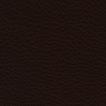 FABRIC Leather Uno : Uno / Espresso FABRIC Leather Uno : Uno / Espresso