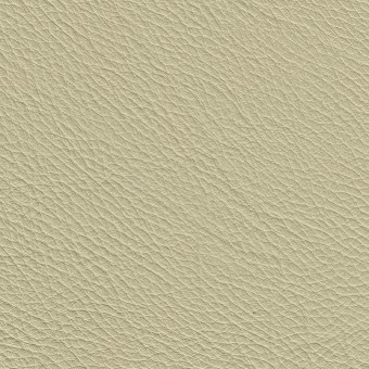 FABRIC Leather Uno : Uno / Boston White FABRIC Leather Uno : Uno / Boston White