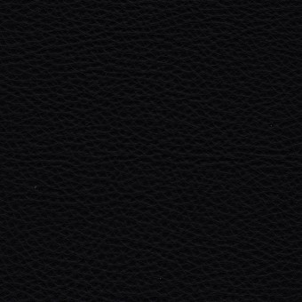 FABRIC Leather Uno : Uno / Black FABRIC Leather Uno : Uno / Black