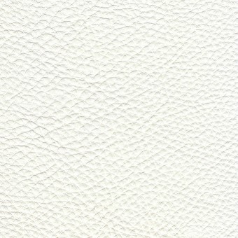 FABRIC Leather Uno : Uno / Snow